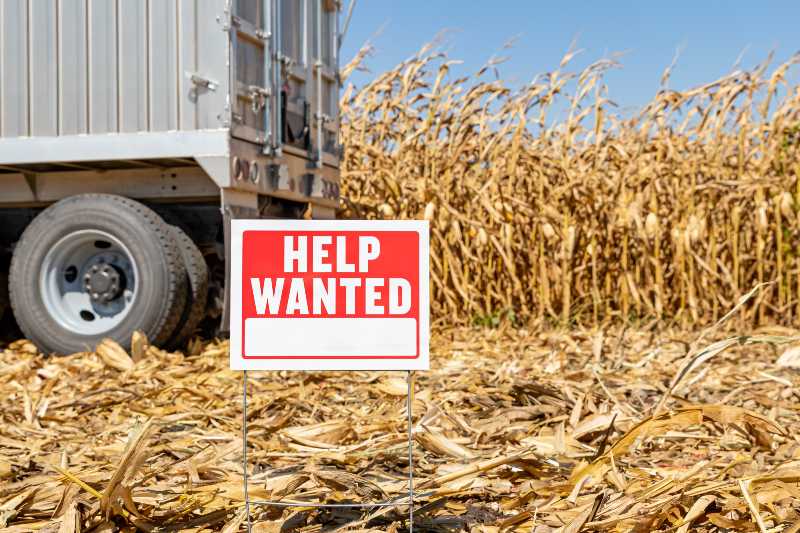 Help wanted sign in farm field | Worker Shortage