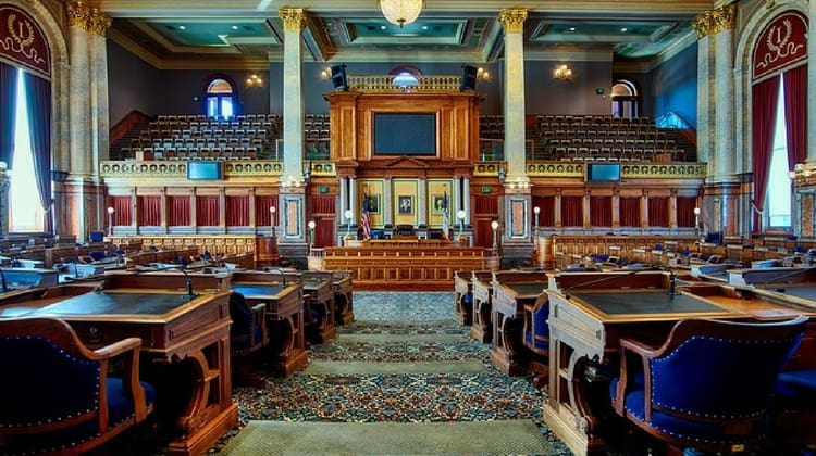 What Are Our Representatives Supposed to Do?