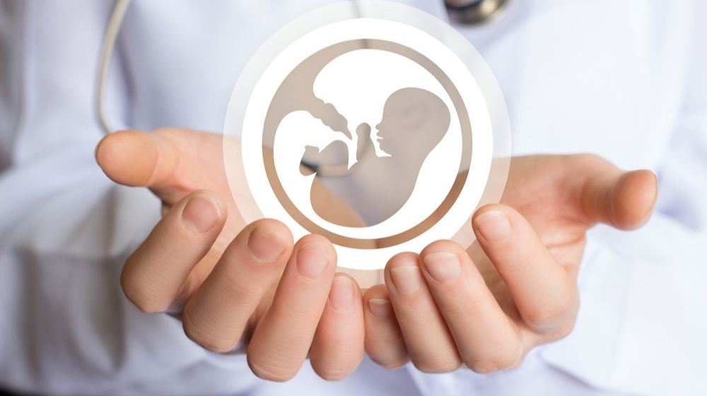 Icon of the Embryo in the Doctor's Hand | “Jaw-Dropping” Fall in Fertility Rate | Featured