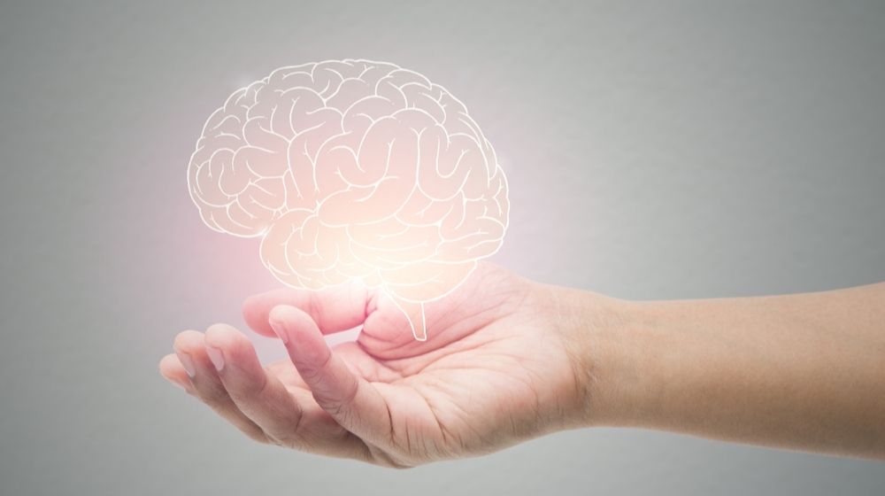 Man Holding Brain Illustration Against Gray Wall Background | Number of Employed Americans Struggling with Mental Health Conditions Remains High | Featured