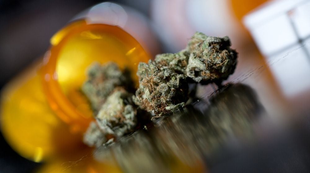 Marijuana as Medicine | More Doctors Are Using Marijuana as Medicine | Featured