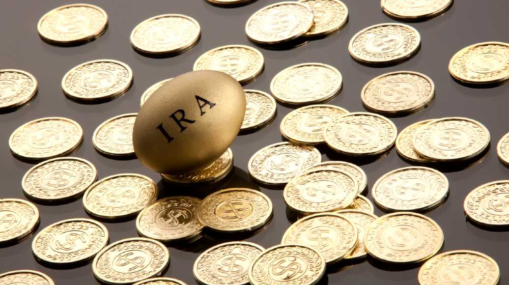 Money and nest eggs concept for retirement, savings, and financial planning | Home Storage Gold IRA Is Retirement Security | featured