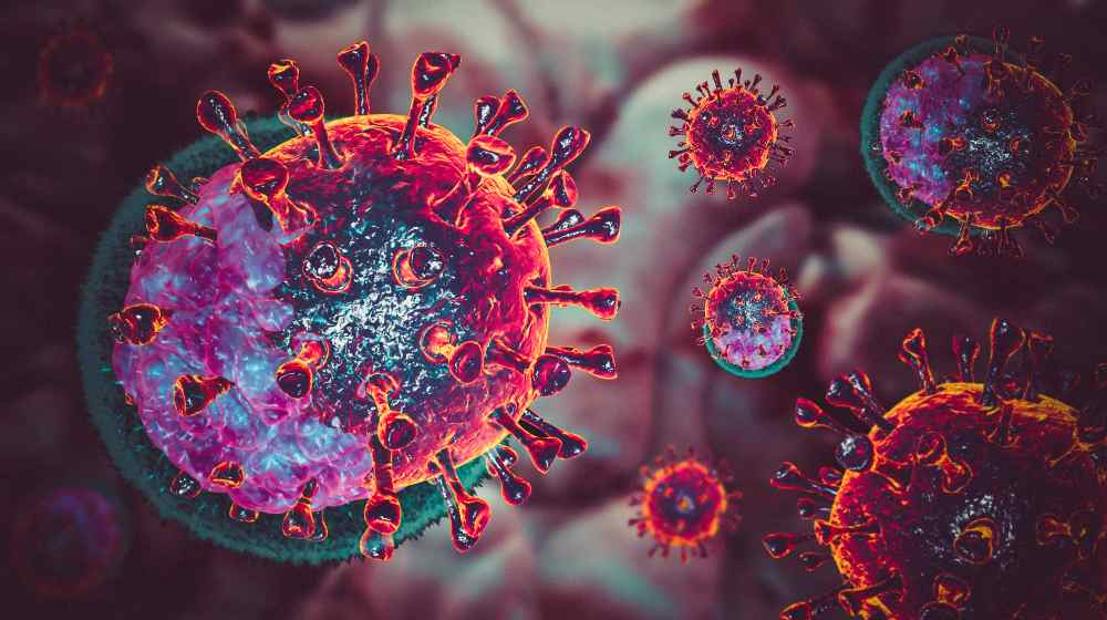 Natural killer body cell immune respone corona virus cell | COVID Antibodies Are Naturally Present in 6 out of 10 Americans | featured