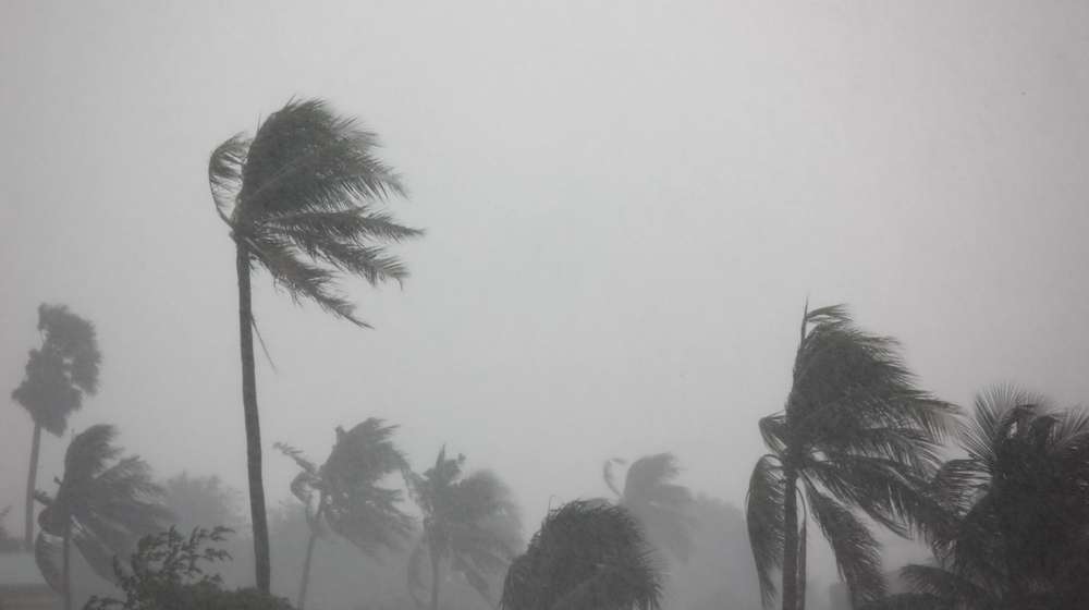 New Orleans Avoids Major Floods Despite Hurricane Ida -ss-Featured