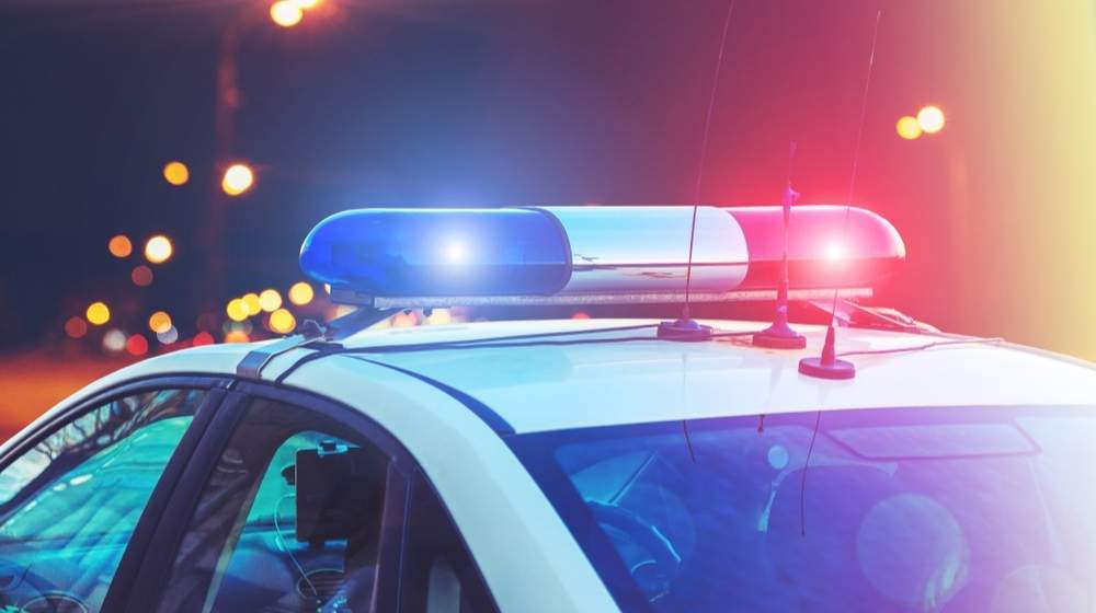Police car lights-Unhinged Thug Attacks Working Detective with Stick in Broad-Daylight -ss-Featured