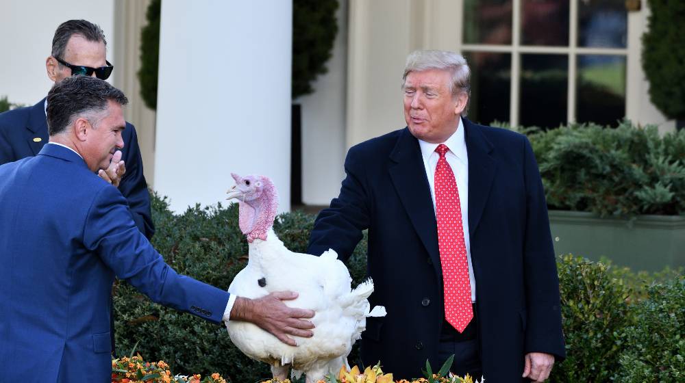 President Donald Trump pardons a Turkey names Butter at the annual ceremony in the Rose Garden of the White House | Trump’s Thanksgiving Message Hints At Running Again In 2024 | featured