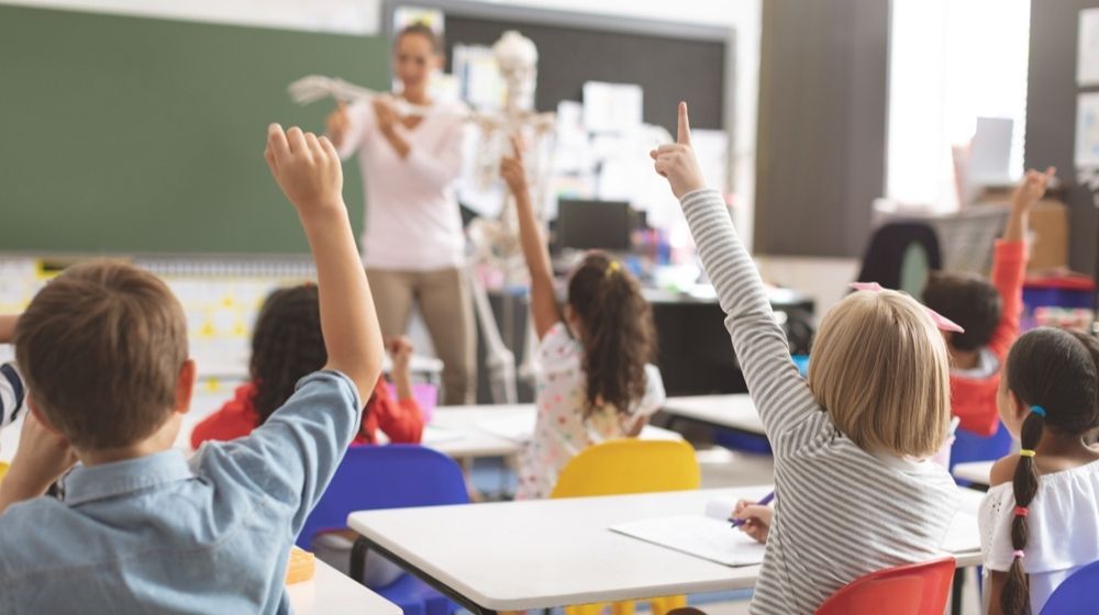 Rear View of Kids Raising Hands While Teacher Explaining the Functioning of Human Skeleton | Florida Department of Education Issues Order That Mandates All Schools to Reopen in August | Featured