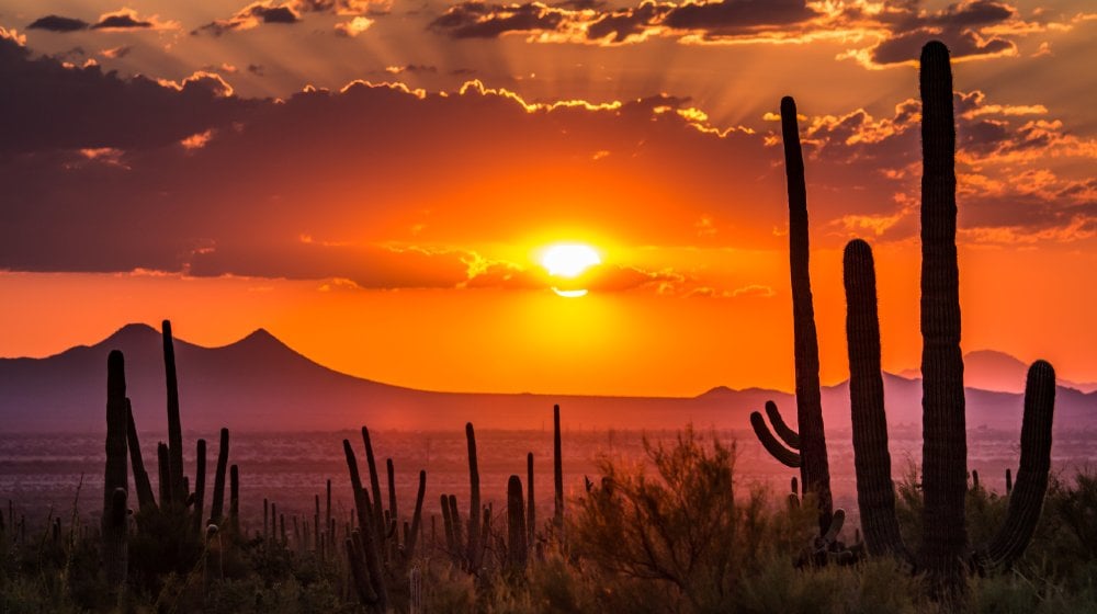 Tucson, Arizona | Race for Trump‘S Coveted Kiss Commences in Arizona | featured