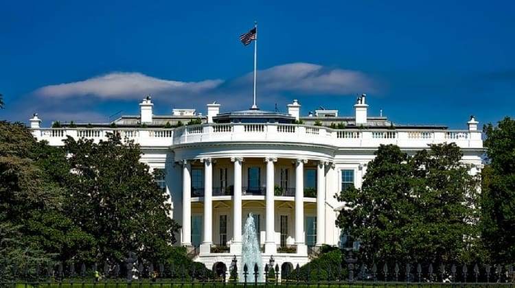 The Swamp Is D.C.