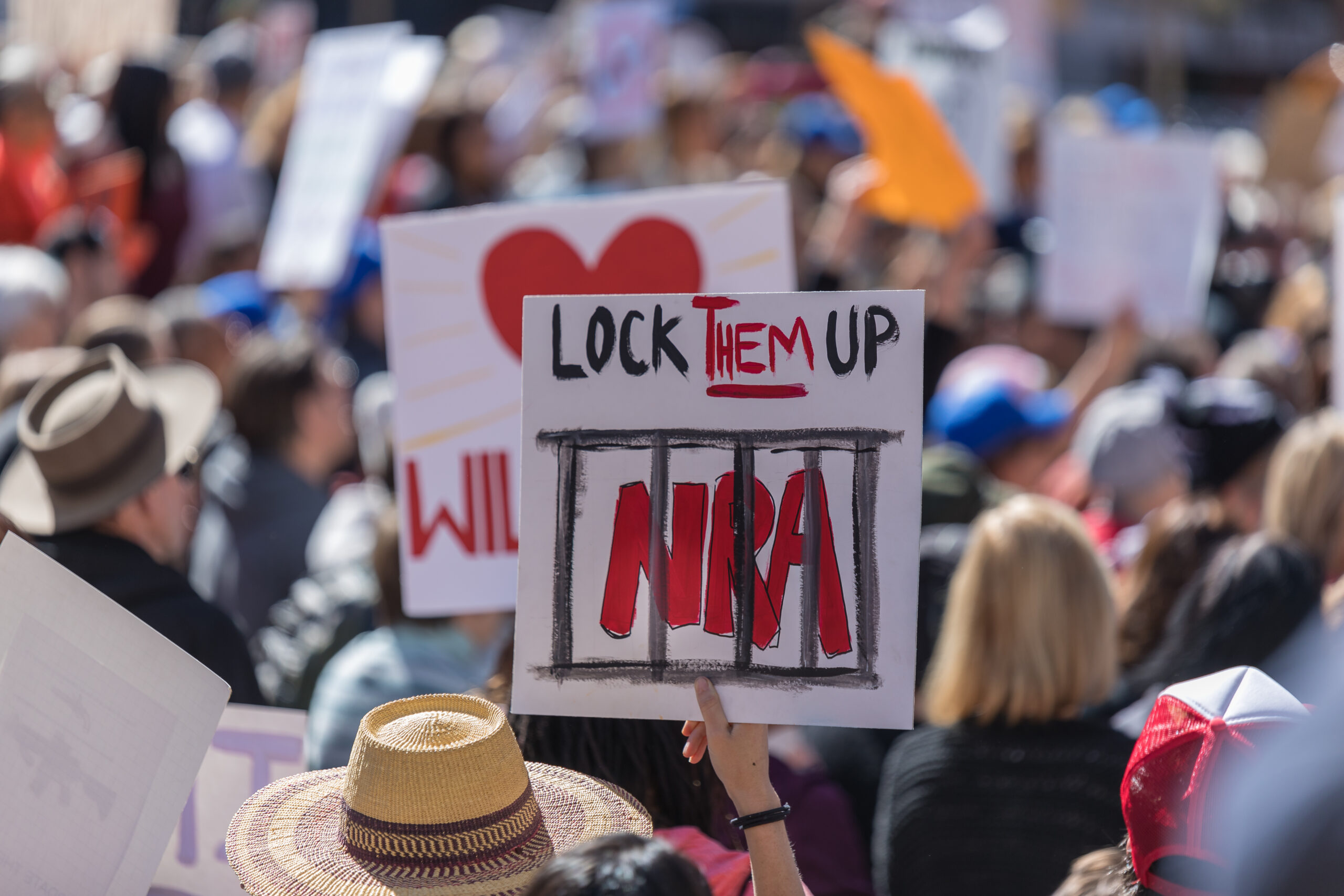 Will the NRA Live On?