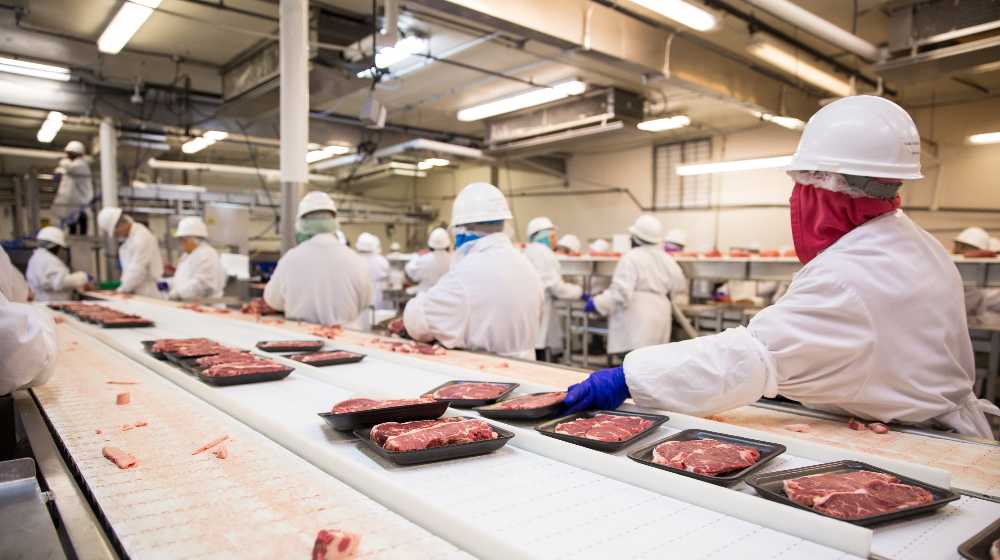 Workers handle meat organizing packing shipping loading at factory plant | Tyson Foods Shares Hit All-Time High As Meat Prices Soar | featured