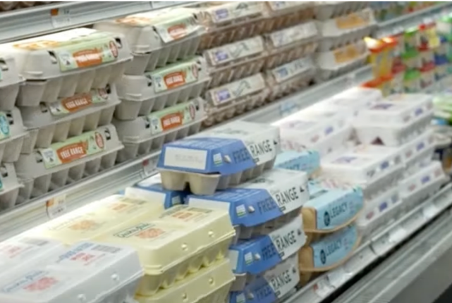 We Got Rid of Joe Biden For Good, But Why Are Egg Prices Still High?