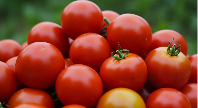 U.S. Food and Drug Administration Issues a Class 1 Tomato Recall Due to Salmonella Risk