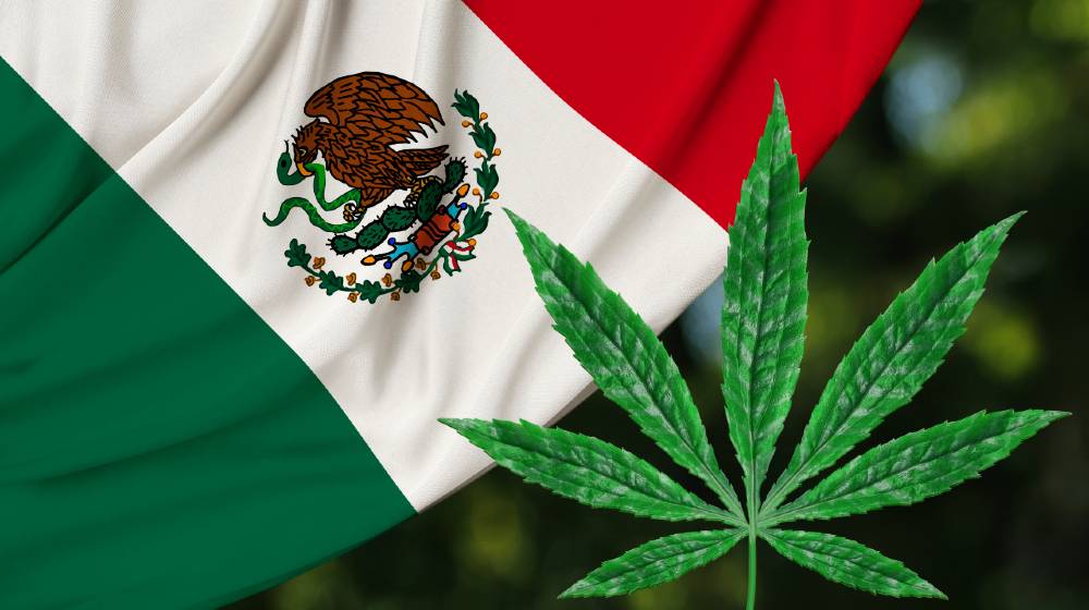 green leaf of hemp and beautiful mexico silk national flag, concept of medical cannabis, legalization of drugs | Mexican Supreme Court Decriminalizes Recreational Marijuana | featured