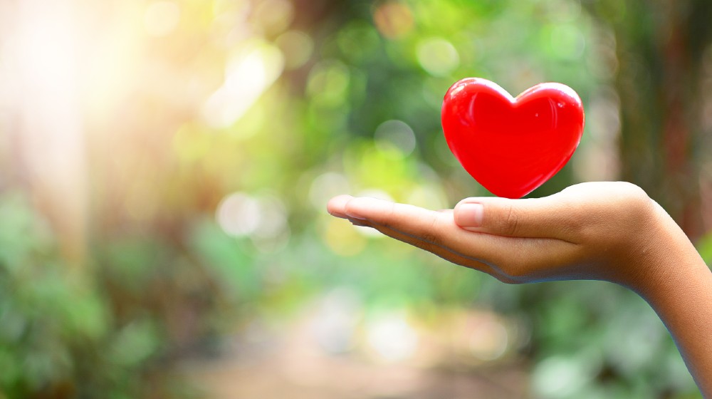 heart on hand for concept philanthropy | Mackenzie Scott Gave Away $2.7 Billion To Charity | featured