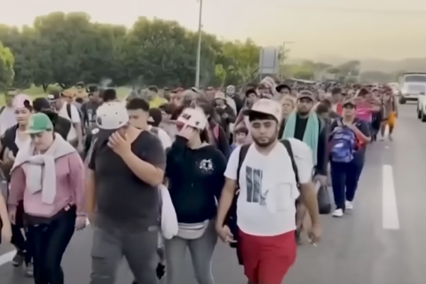 Will Trump Succeed in Implementing the Mass Deportation of Undocumented Immigrants?