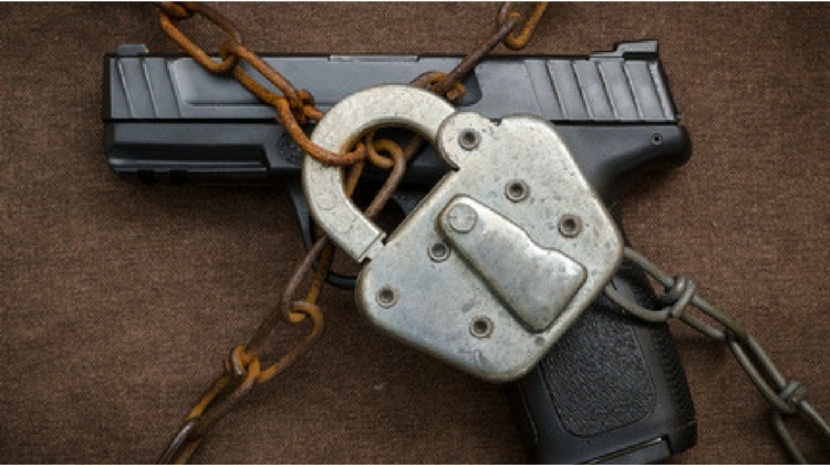protect kids or confiscate guns