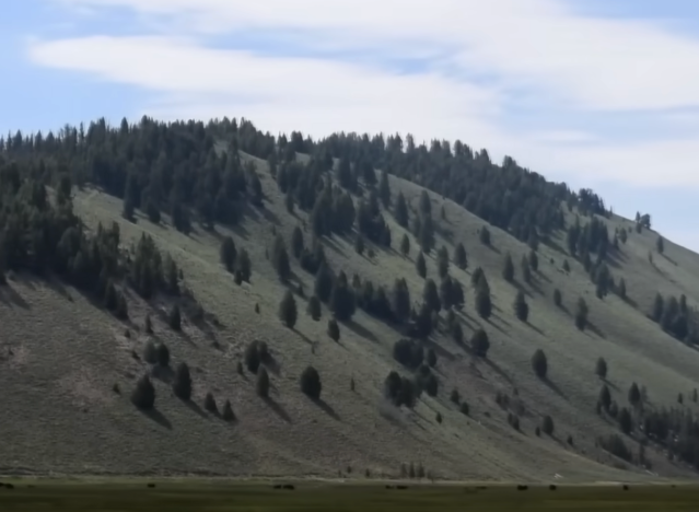Measure to Sell Off Public Lands Scrapped from GOP’s Big Beautiful Bill
