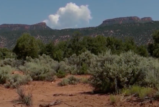 House Republicans Push to Sell Public Lands to Offset President Trump’s Tax Cuts