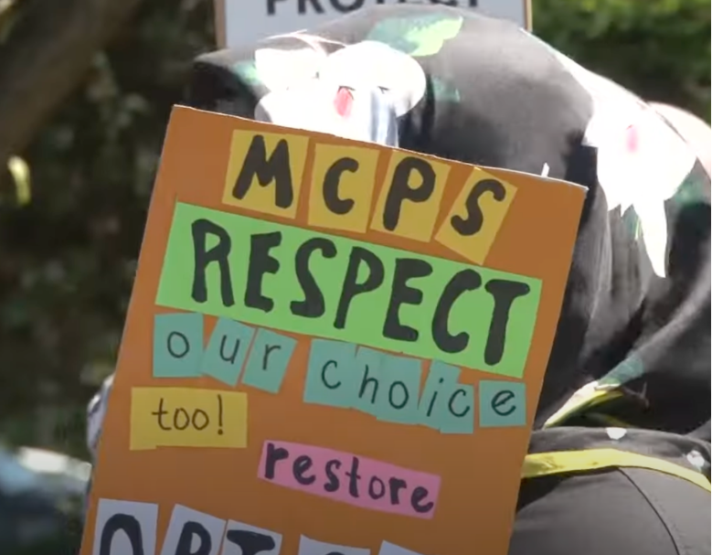 Parents, School Boards, or Judges: Who Should Decide What’s Taught in the School Curriculum?